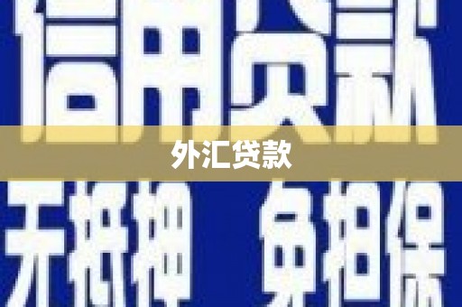 阿里山外汇贷款