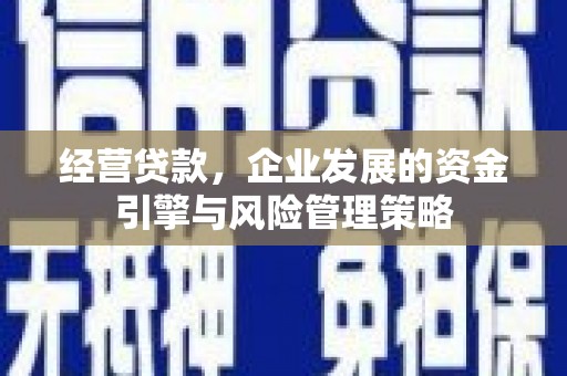 阿里山经营贷款，企业发展的资金引擎与风险管理策略