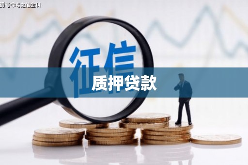 阿里山质押贷款