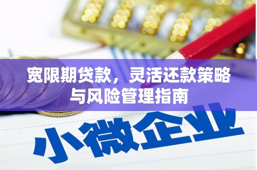 阿里山宽限期贷款，灵活还款策略与风险管理指南