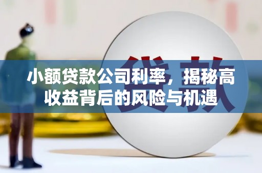 阿里山小额贷款公司利率，揭秘高收益背后的风险与机遇