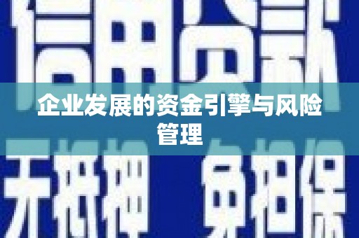 阿里山企业发展的资金引擎与风险管理