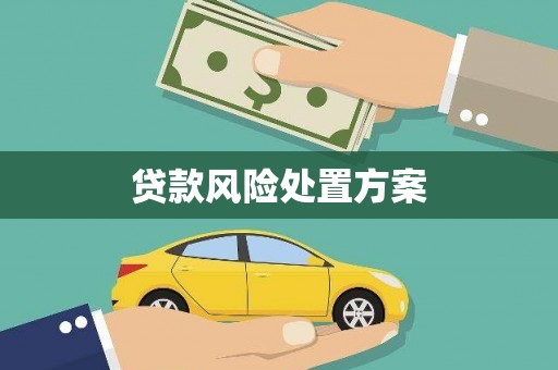 阿里山贷款风险处置方案