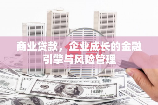 阿里山商业贷款，企业成长的金融引擎与风险管理