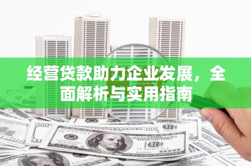 阿里山经营贷款助力企业发展，全面解析与实用指南