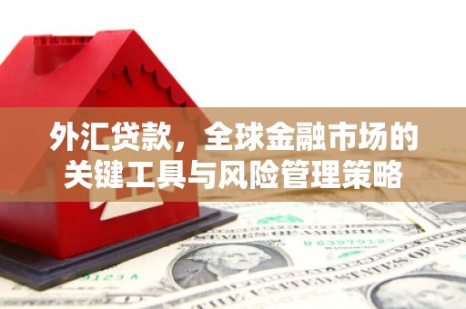 阿里山外汇贷款，全球金融市场的关键工具与风险管理策略