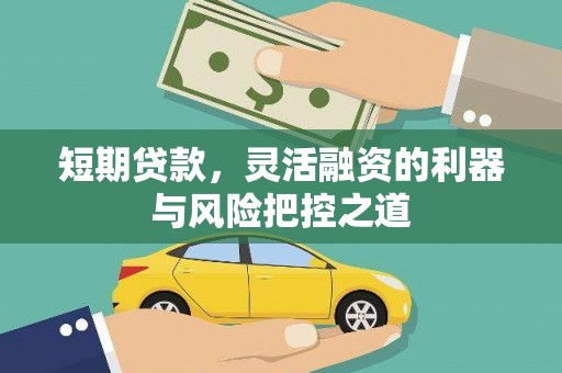阿里山短期贷款，灵活融资的利器与风险把控之道