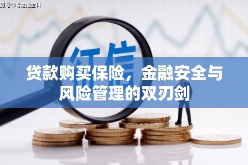 阿里山贷款购买保险，金融安全与风险管理的双刃剑