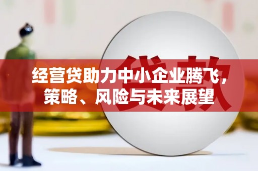 阿里山经营贷助力中小企业腾飞，策略、风险与未来展望