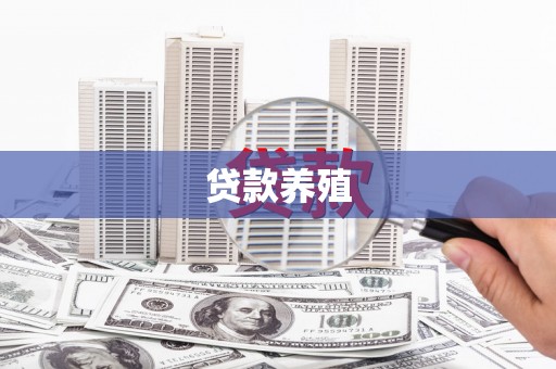 阿里山贷款养殖