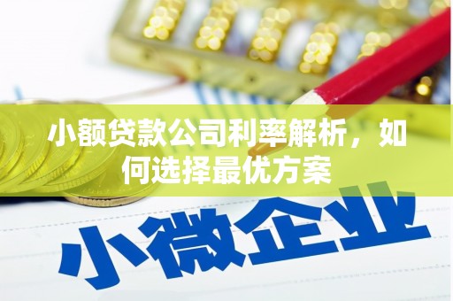 阿里山小额贷款公司利率解析，如何选择最优方案