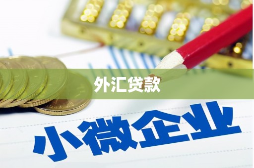 阿里山外汇贷款