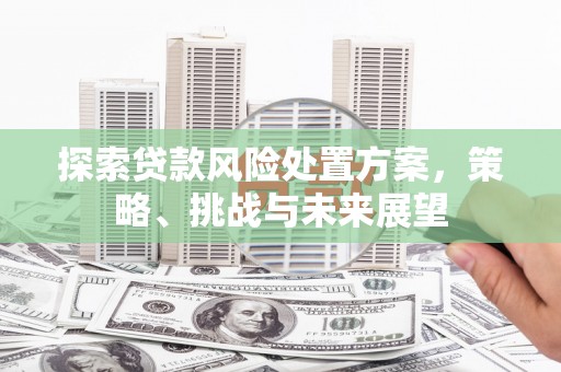 阿里山探索贷款风险处置方案，策略、挑战与未来展望