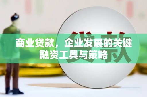 阿里山商业贷款，企业发展的关键融资工具与策略