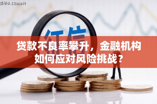阿里山贷款不良率攀升，金融机构如何应对风险挑战？