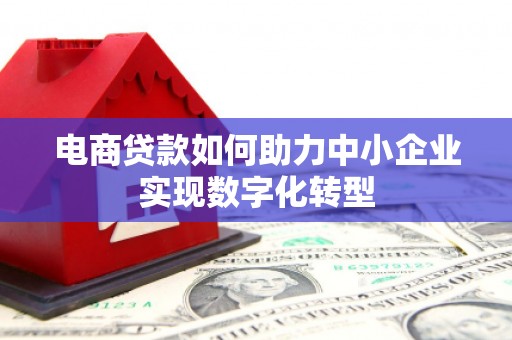 阿里山电商贷款如何助力中小企业实现数字化转型