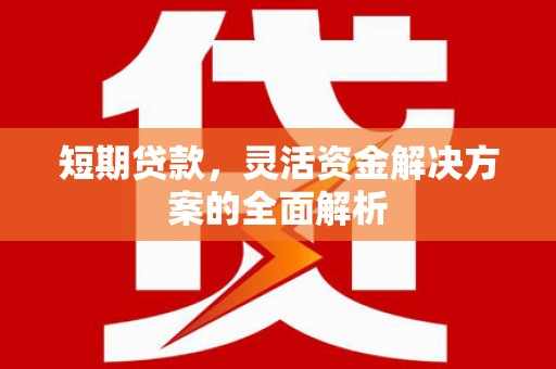 阿里山短期贷款，灵活资金解决方案的全面解析
