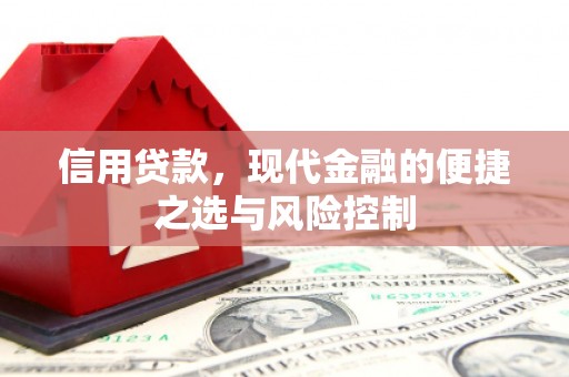 阿里山信用贷款，现代金融的便捷之选与风险控制