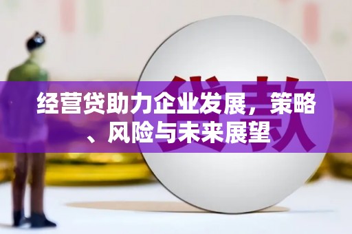 阿里山经营贷助力企业发展，策略、风险与未来展望