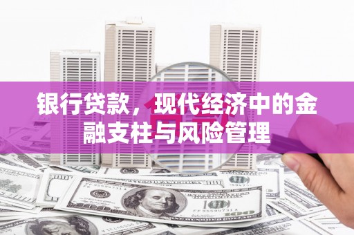 阿里山银行贷款，现代经济中的金融支柱与风险管理