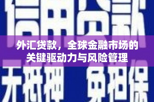 阿里山外汇贷款，全球金融市场的关键驱动力与风险管理