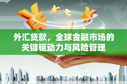 阿里山外汇贷款，全球金融市场的关键驱动力与风险管理