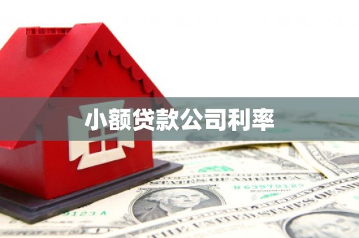 阿里山小额贷款公司利率