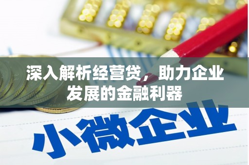 阿里山深入解析经营贷，助力企业发展的金融利器