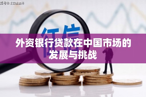 阿里山外资银行贷款在中国市场的发展与挑战