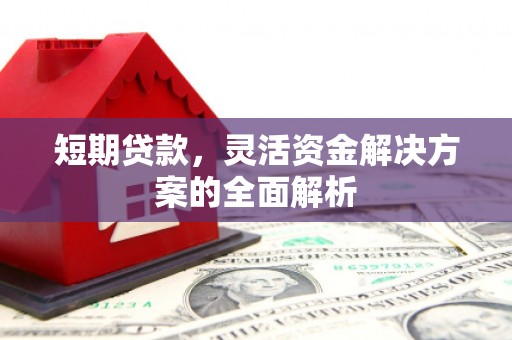 阿里山短期贷款，灵活资金解决方案的全面解析