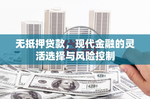 阿里山无抵押贷款，现代金融的灵活选择与风险控制