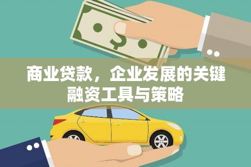 阿里山商业贷款，企业发展的关键融资工具与策略