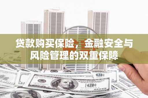 阿里山贷款购买保险，金融安全与风险管理的双重保障