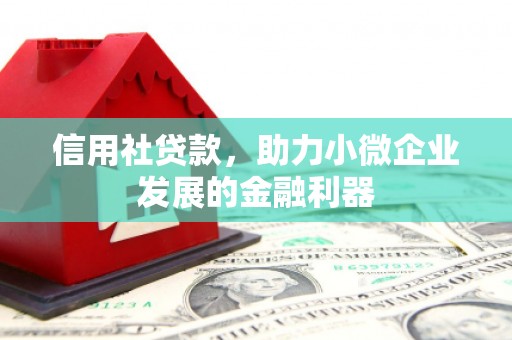 阿里山信用社贷款，助力小微企业发展的金融利器