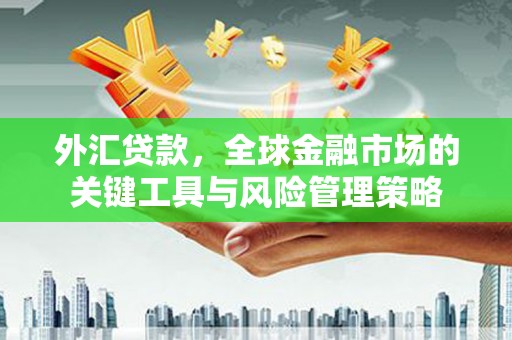 阿里山外汇贷款，全球金融市场的关键工具与风险管理策略
