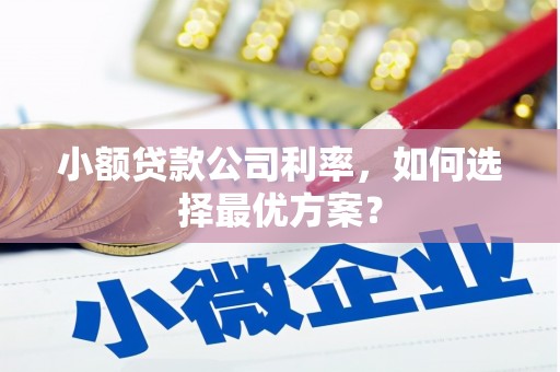 阿里山小额贷款公司利率，如何选择最优方案？