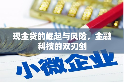 阿里山现金贷的崛起与风险，金融科技的双刃剑
