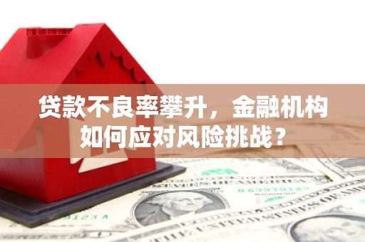 阿里山贷款不良率攀升，金融机构如何应对风险挑战？