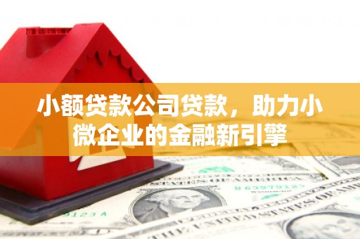 阿里山小额贷款公司贷款，助力小微企业的金融新引擎