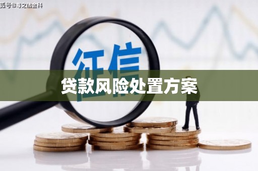阿里山贷款风险处置方案
