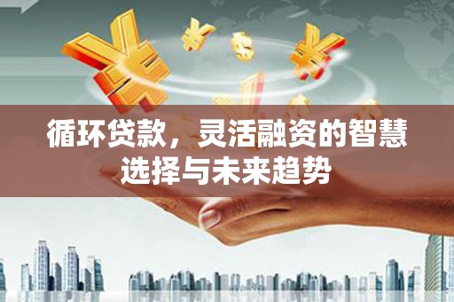 阿里山循环贷款，灵活融资的智慧选择与未来趋势