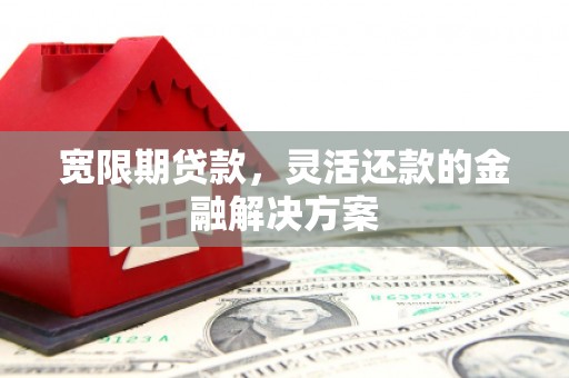 阿里山宽限期贷款，灵活还款的金融解决方案