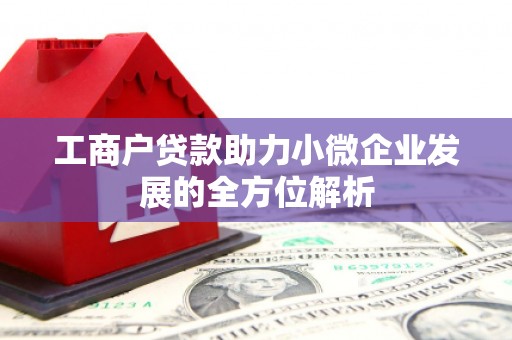 阿里山工商户贷款助力小微企业发展的全方位解析