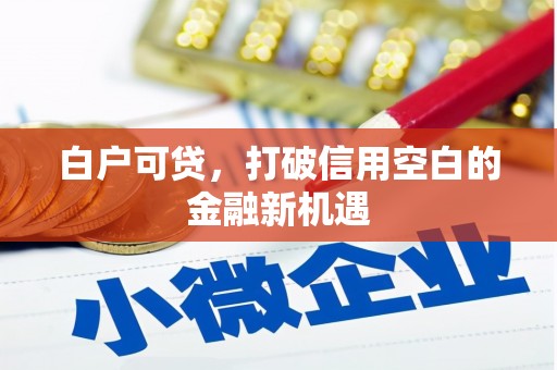 阿里山白户可贷，打破信用空白的金融新机遇