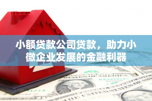 阿里山小额贷款公司贷款，助力小微企业发展的金融利器