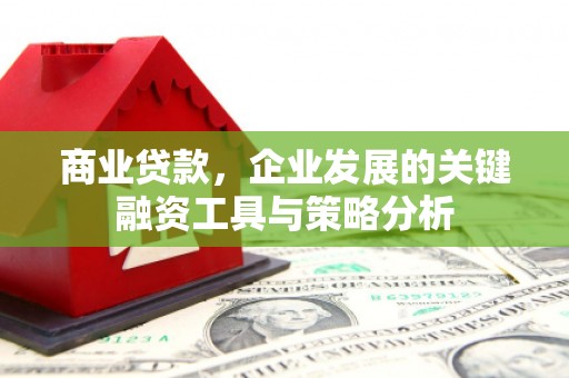 阿里山商业贷款，企业发展的关键融资工具与策略分析