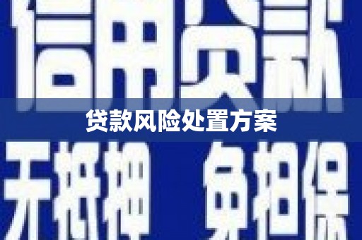 阿里山贷款风险处置方案