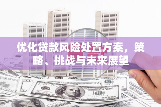 阿里山优化贷款风险处置方案，策略、挑战与未来展望