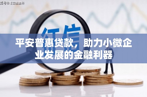阿里山平安普惠贷款，助力小微企业发展的金融利器