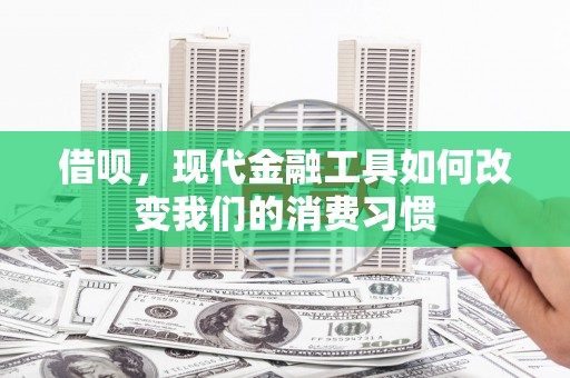 阿里山借呗，现代金融工具如何改变我们的消费习惯